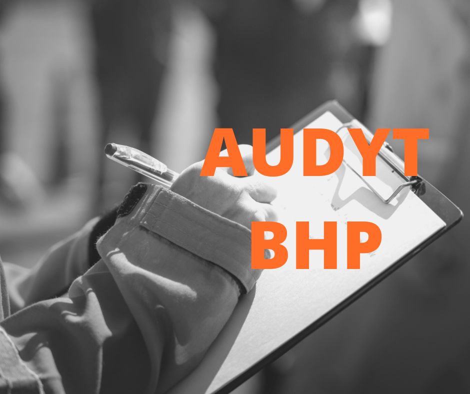 Audyt BHP